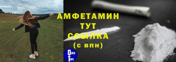 МДПВ Бородино