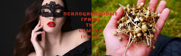 дурь Гусь-Хрустальный