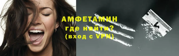 МДПВ Бородино