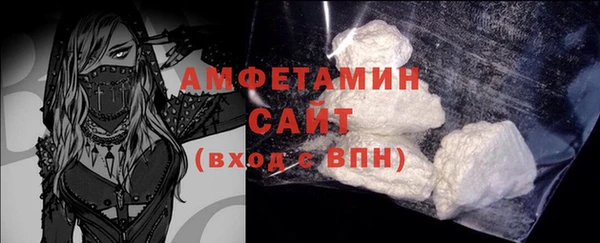 МДПВ Бородино