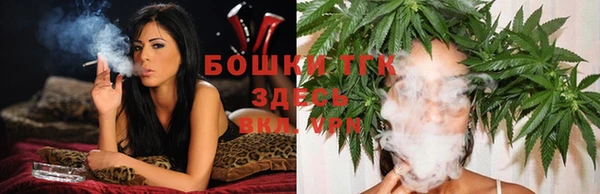 МДПВ Бородино