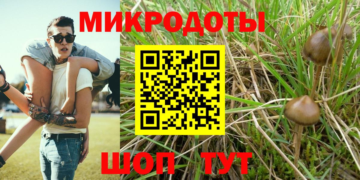 Псилоцибиновые грибы Psilocybe Рузаевка