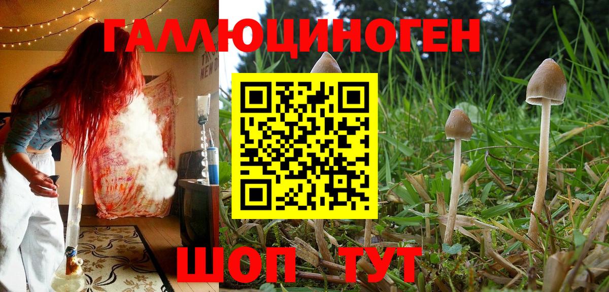Галлюциногенные грибы Psilocybe  Псилоцибиновые грибы прущие грибы  Рузаевка  Вход с VPN 